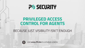 More than visibility: P0 introduces privileged access control for agents