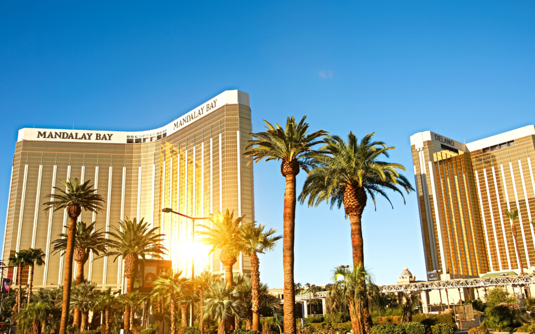 Meet the P0 Security team at Identiverse