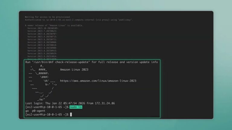 P0 AuthZ for Zscaler private access