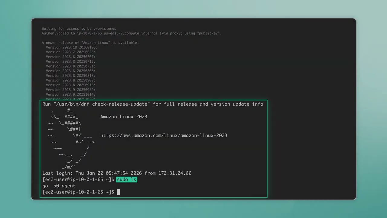 P0 AuthZ for Zscaler private access